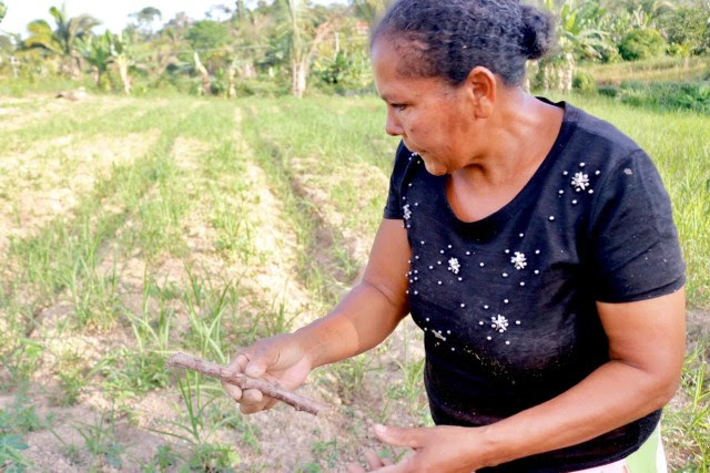 Dona Eva, Mais antiga liderança do Projeto de Desenvolvimento Sustentável Porto Seguro